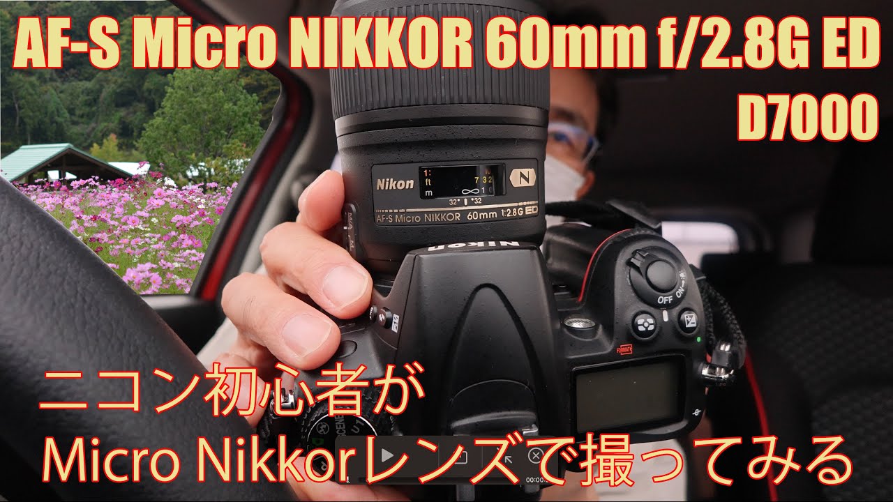 AF-S Micro NIKKOR 60mm f/2.8G ED: Shooting with the Micro Nikkor