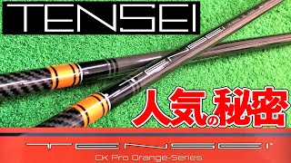 Domestic Model TENSEI] A Thorough Review of the TENSEI CK Pro