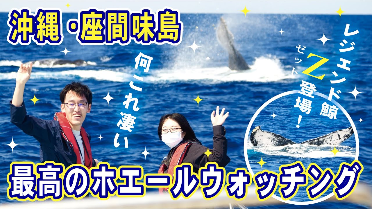 沖縄・座間味島】伝説のクジラ！「Z」の大バトル！・2023/03/01 - YouTube