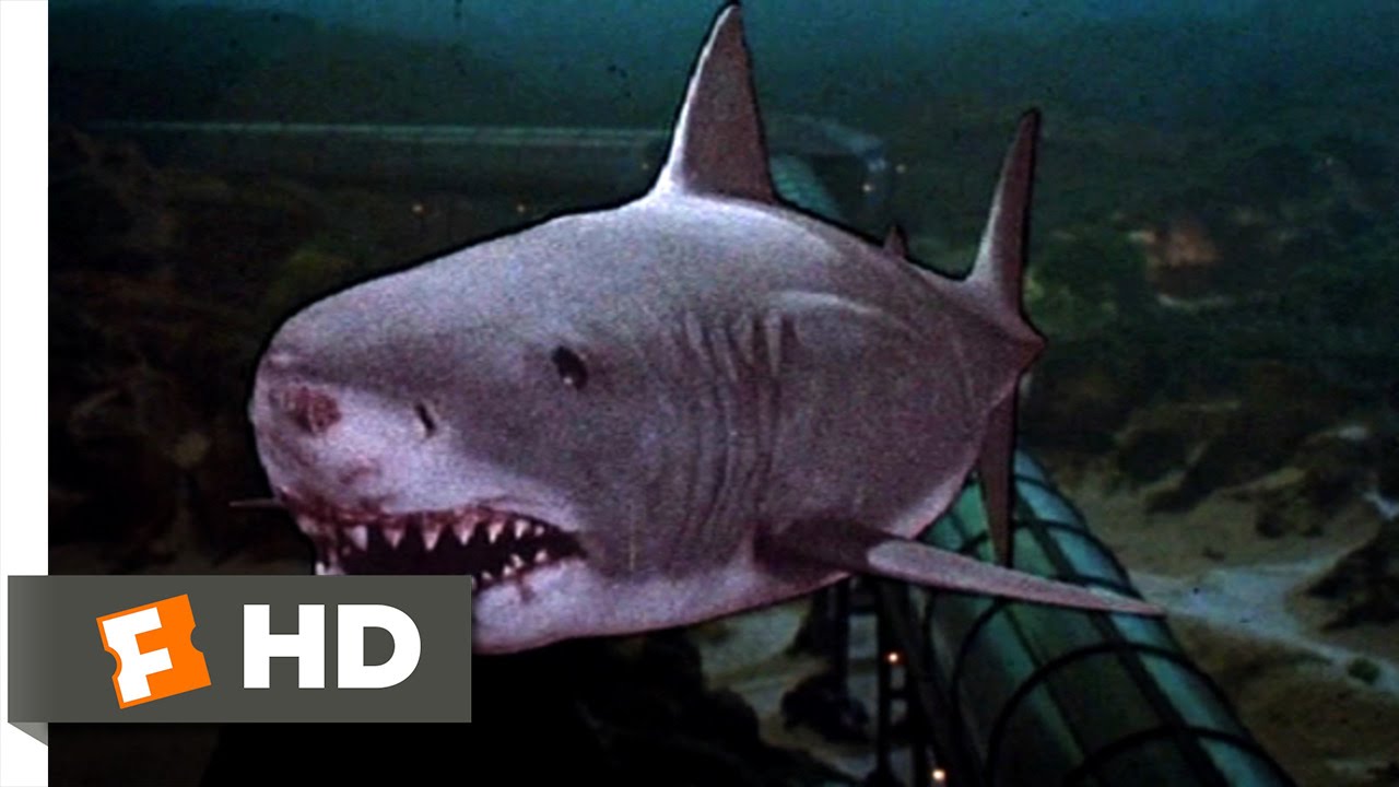 Jaws 3-D (9/9) Movie CLIP - The Exploding Shark (1983) HD - YouTube