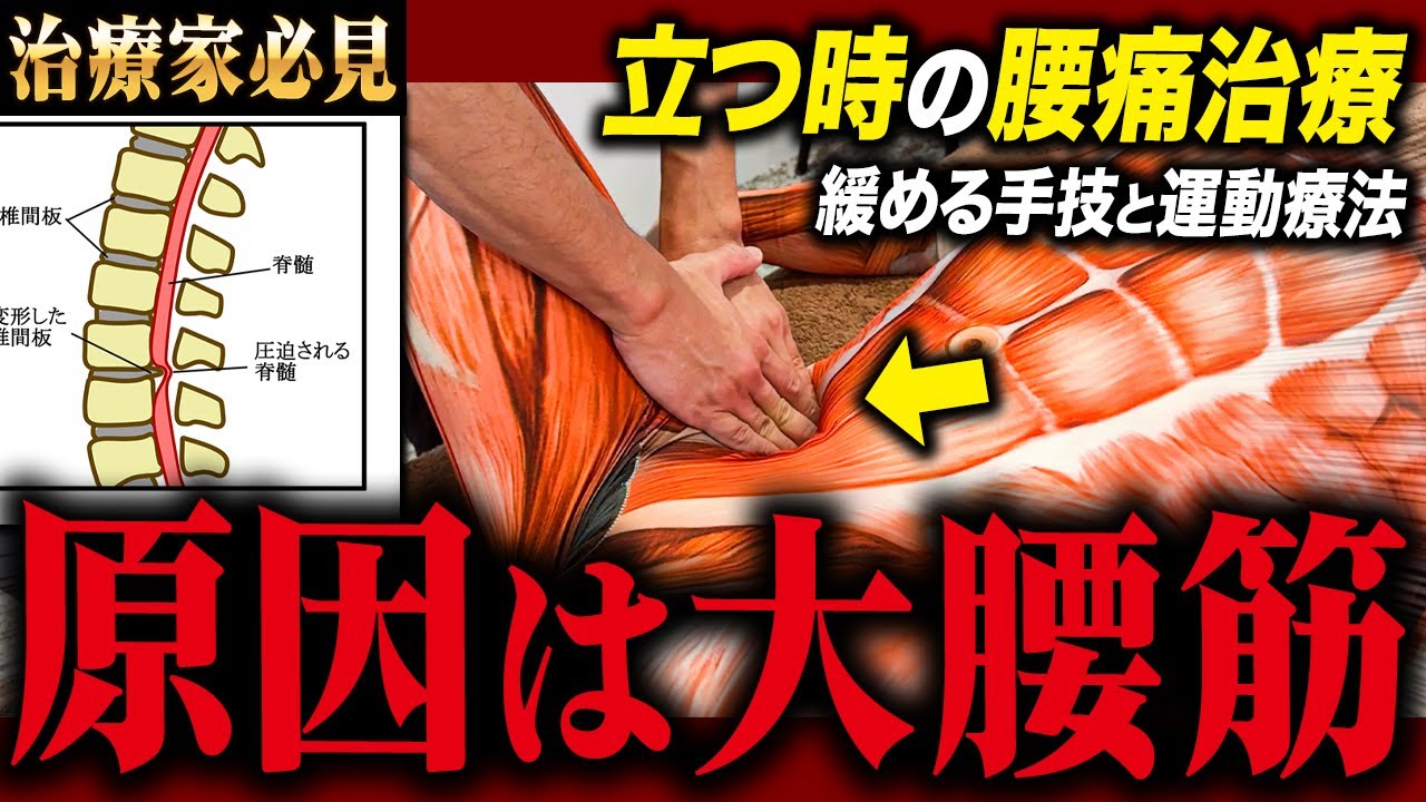 A must-see for all therapists] For patients who experience lower