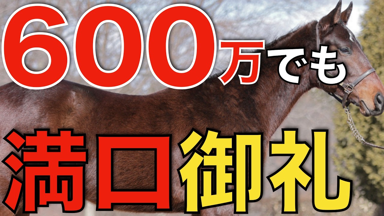 神本】社台スタリオンブックが届いたのでレビュー！種牡馬好きなら価値