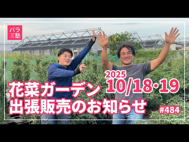 484 Hana Garden Travel Sales Announcement - YouTube