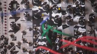 Noise Engineering Basimilus Iteritas Alter (Black) - Eurorack