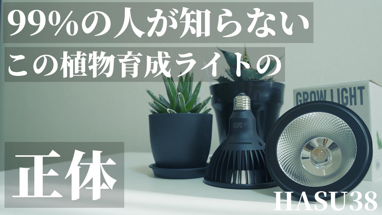 Recommended] Review of the HASU38 spec9 Grow Light! Discover