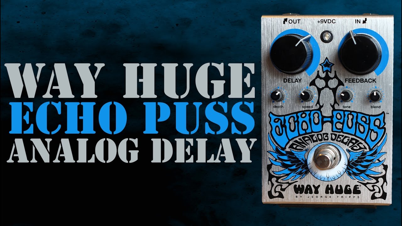 New Way Huge Echo-Puss Analog Delay pedal demo with Jeorge Tripps