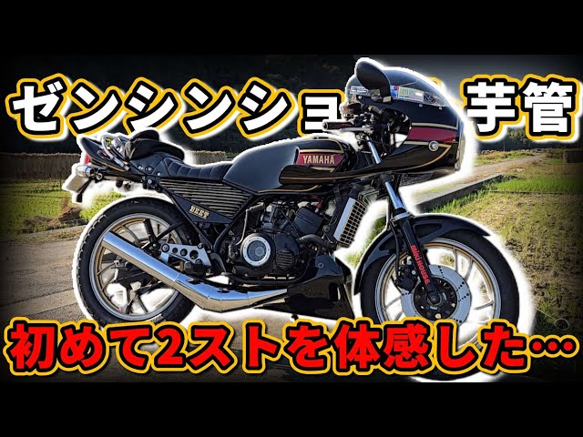 HighLife】ゼンシン芋ショート HighLife様専用】ゼンシン芋ショート