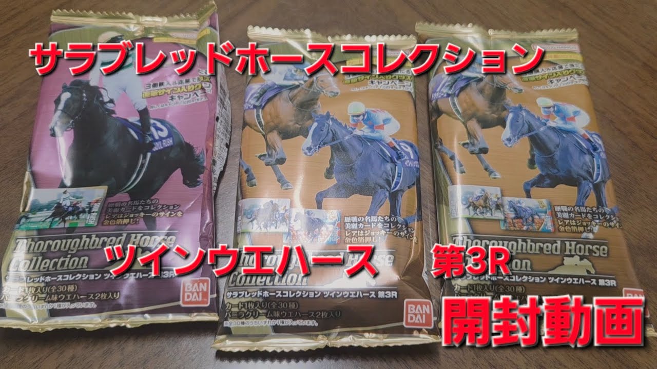 ラスト1点】サラブレッドホースコレクション 第1R〜第3R フルコンプ