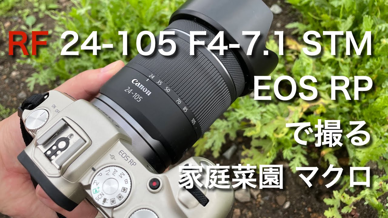 Canon RF 24-105mm F4-7.1 IS STM で撮る 家庭菜園マクロ的作例 sample