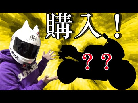 ライブ】ねこかずついに新しいオートバイを買う！？雑談配信