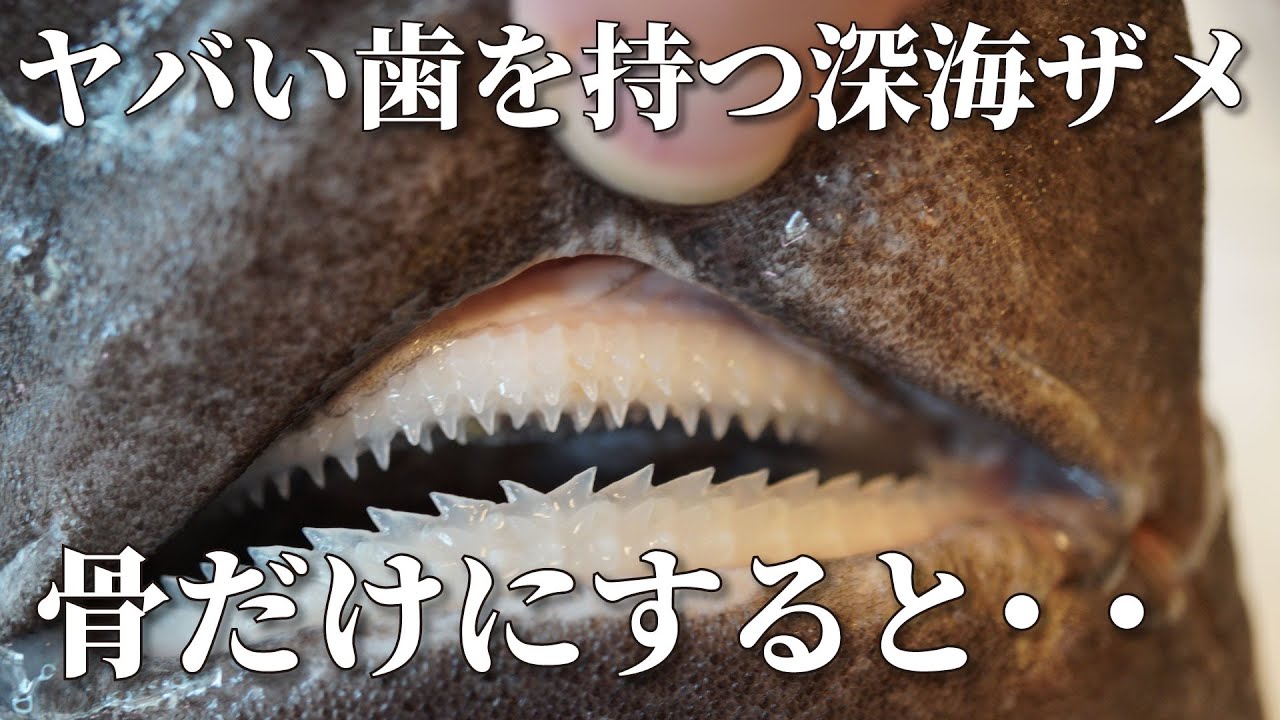 I made a skeleton of the head of a deep-sea shark with scary teeth