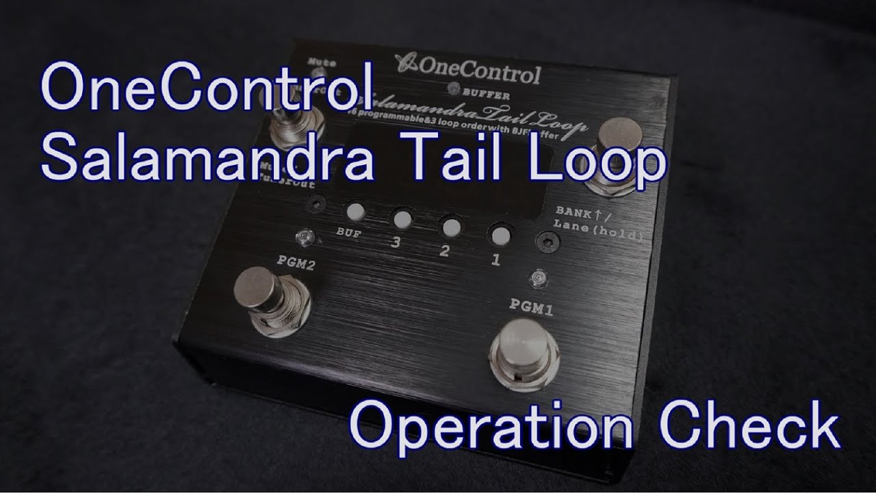 機材レビュー】 One Control Salamandra Tail Loop コンパクトな