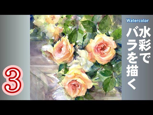 Garden roses painted with transparent watercolors by Yoshimoto