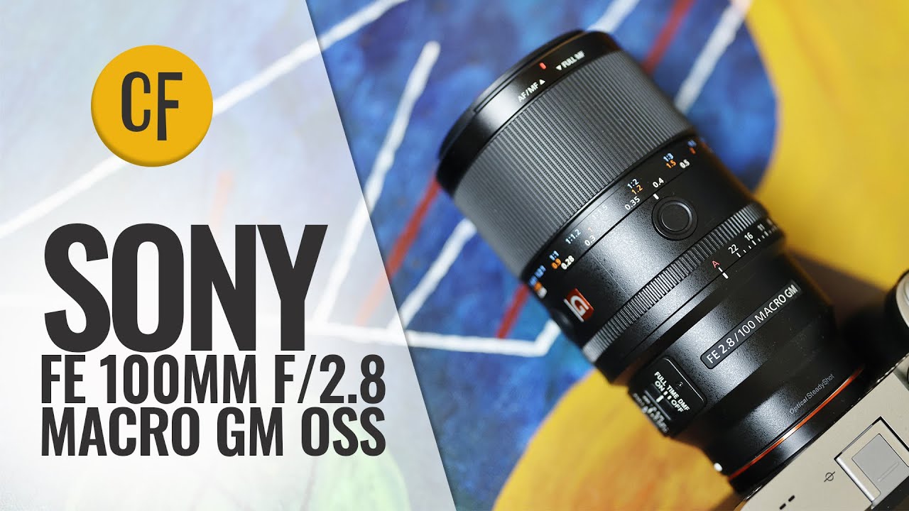 Sony FE 100mm f/2.8 Macro GM OSS lens + 2x Teleconverter review