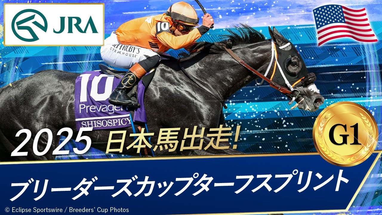 2025 Breeders' Cup Turf Sprint (G1) | Shiso Spicy | JRA Official