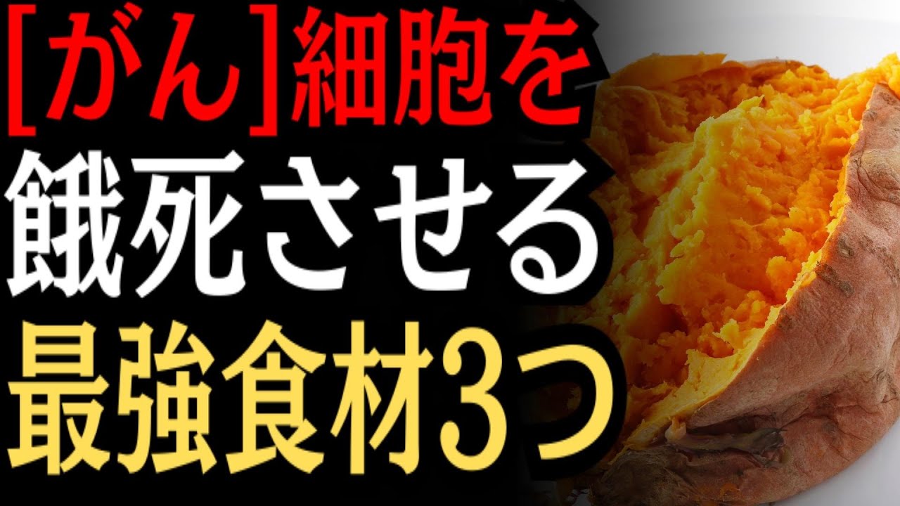 夜汽車 坂庭省悟～『Hobo's Lullaby』 - YouTube