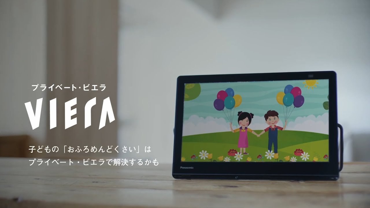 カテゴリー概要 | ポータブルテレビ（プライベート・ビエラ） | Panasonic