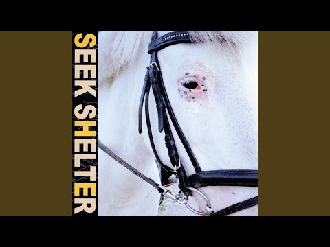 Iceage – Seek Shelter – Vinyl (Black & White Smoke, LP, Album + 2