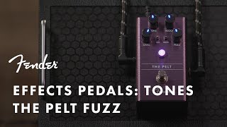 FENDER ( フェンダー ) The Pelt Fuzz 送料無料 | サウンドハウス
