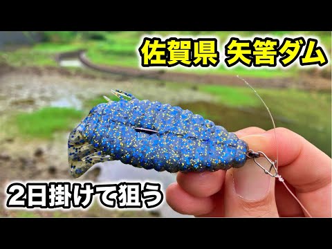 Bass fishing at Yahazu Dam in Saga Prefecture. A Bull Flat 3.8