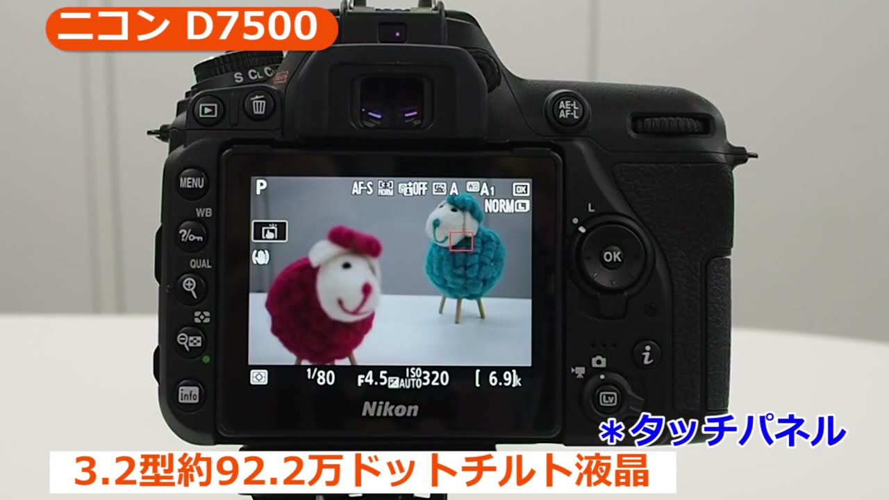 ニコン D7500 ボディ | デジタル一眼レフ