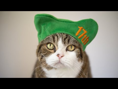 まるです17。-I am Maru 17.- - YouTube