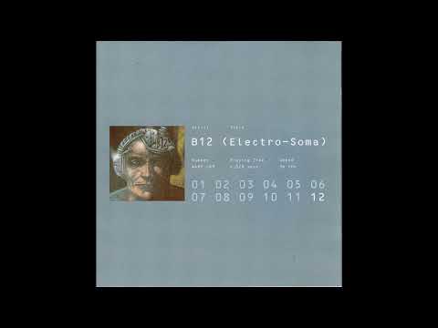 B12 – Electro-Soma – 2 x Vinyl (LP, Album), 1993 [r29889] | Discogs