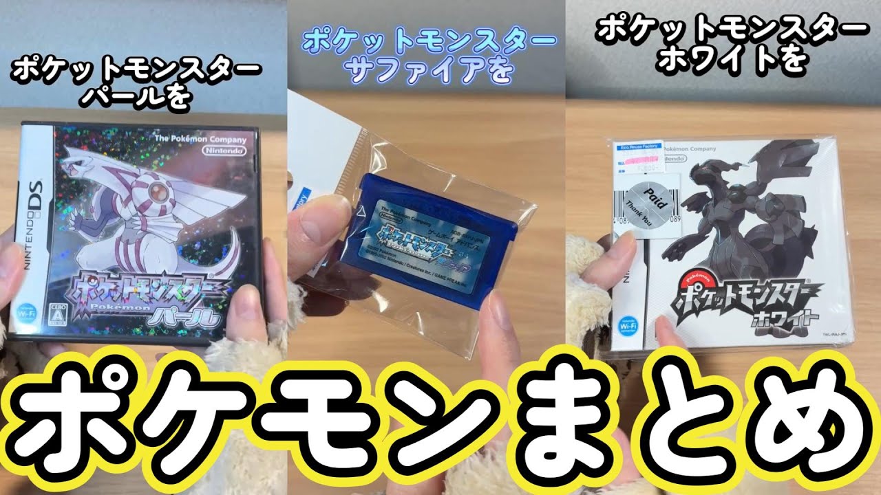 I bought the 2024 Pokemon software! Summary - YouTube