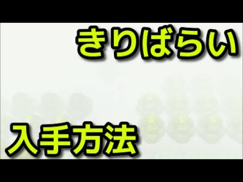 Pokémon Diamond and Pearl Remakes] How to obtain and use the Slash