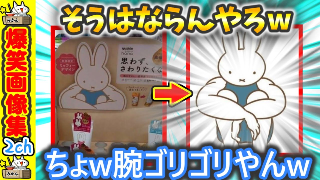 君色わんだふる - YouTube