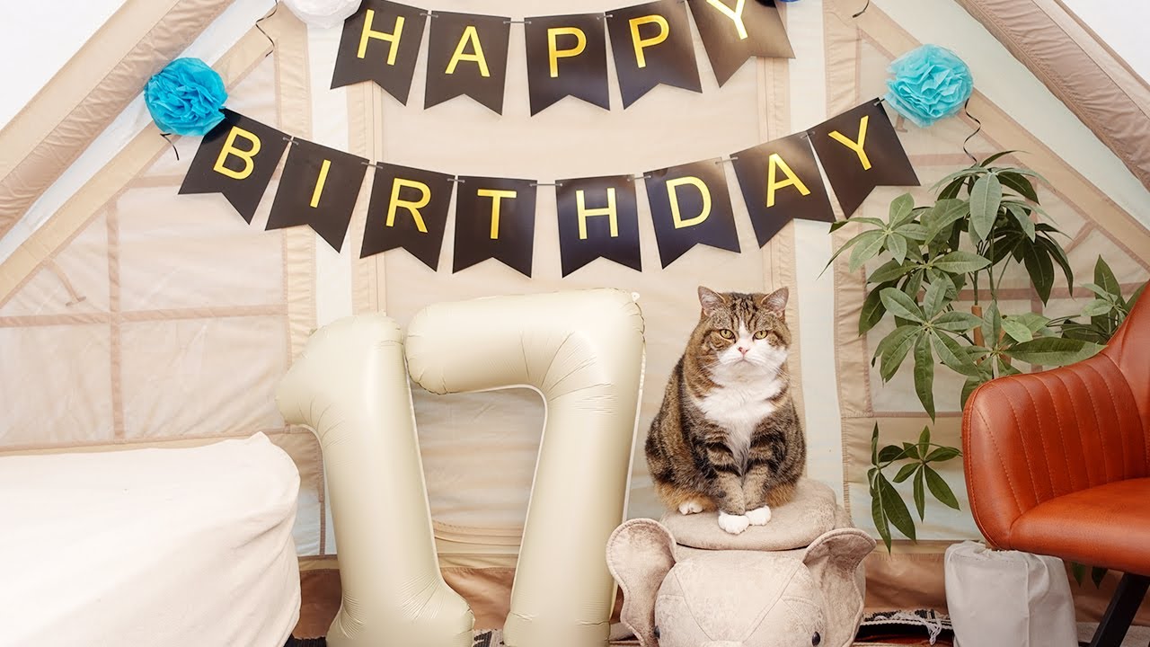 まるです17。-I am Maru 17.- - YouTube