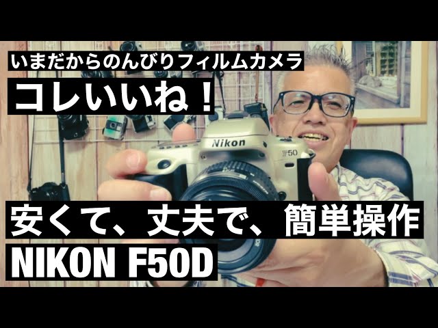 №552 NIKON F50D 安くて、丈夫で、簡単操作、見つけやすいカメラ
