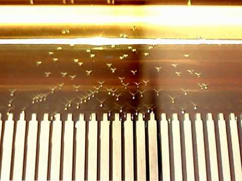 悪ノ召使 【オルゴールアレンジ】 Servant of Evil [ Music Box ver