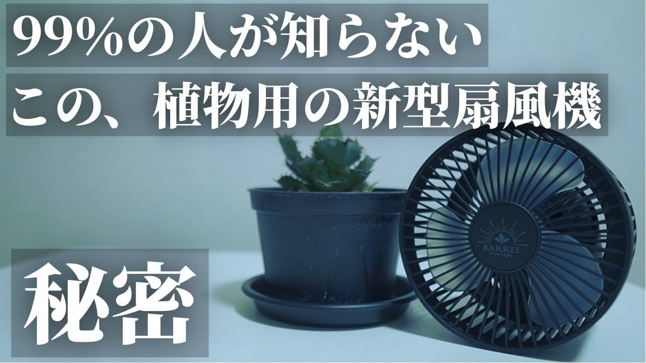 No More hesitation] Everyone uses this! Small fans (blower