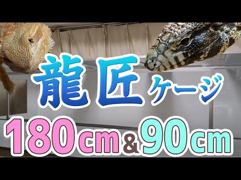 The 180cm and 90cm Ryusho cages have arrived! [B&W Tegu and