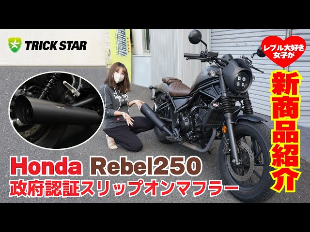 New Product Introduction] Honda Rebel250 Government Certified Slip