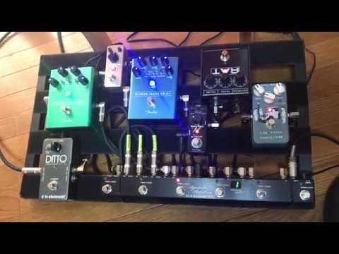 Agamidae Tail Loop: a brief look - YouTube