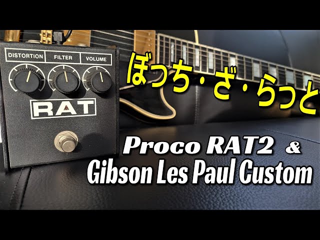 ぼっち・ざ・らっと！】Proco RAT2 & Gibson Les Paul Custom