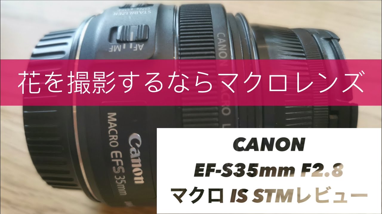 花を撮影するならマクロレンズ‼️ CANON EF-S 35mm F2.8マクロIS STM