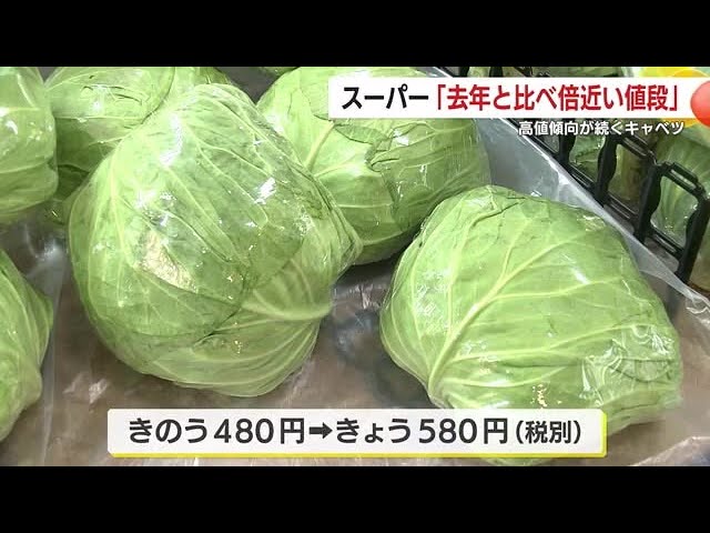 1玉580円も！高値傾向続くキャベツ 販売側や飲食店、消費者の現状
