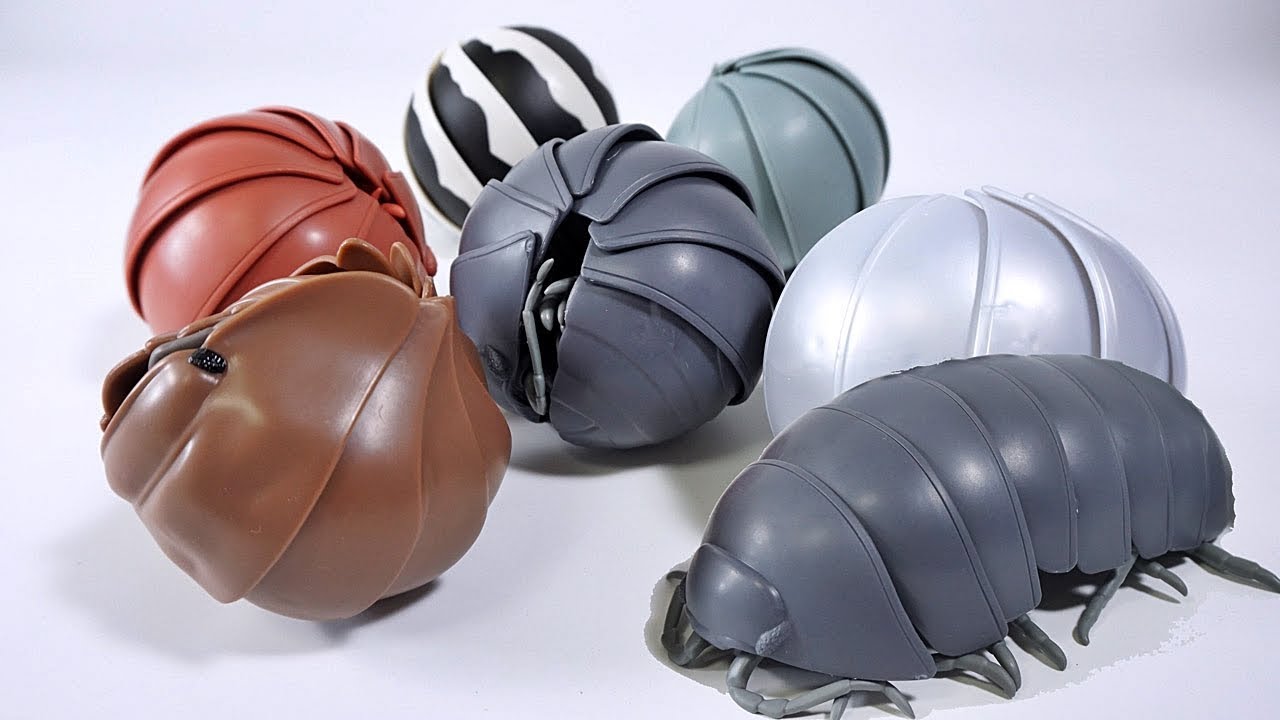 Cute Roly Poly Bugs : Dango Mushi - Bandai Capsule Toys - YouTube