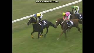 2002 天皇賞 (春) (GⅠ) マンハッタンカフェ - YouTube