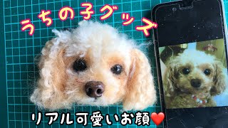 わたわたペットのうちの子プレート【リアル可愛い羊毛作品】 - YouTube