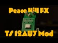 真空管を備えたTS ?! Peace Hill FX TS 12AU7 MODをレビュー！！ - YouTube