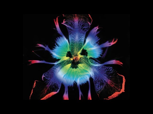 PIERROT ｜DICTATORS CIRCUS ー奇術的旋律ー FULL - YouTube