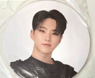 SEVENTEEN HOSHI TOUR FOLLOW TO JAPAN OFFICIAL IMAGE PICKET | eBay