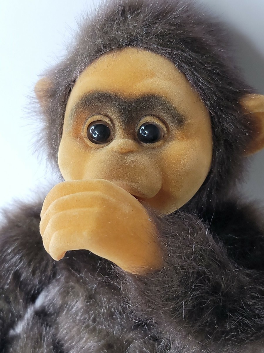 Hosung Little Monkey Lost Chimps 10