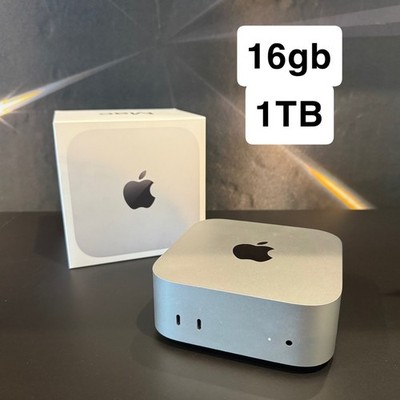 美品M4 Mac mini 16GB 256GBSSD ➕1TBSSD付き! Apple Mac Mini M4