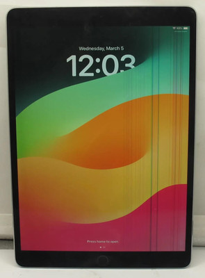 Apple iPad Pro 1st Generation A1701 256GB Wi-Fi 10.5