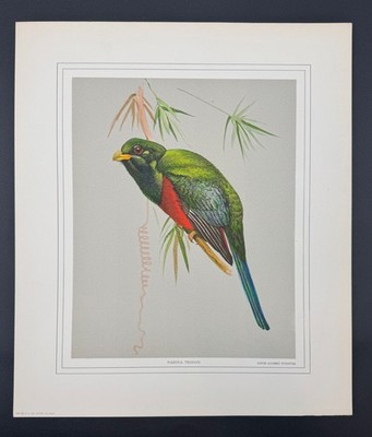 birgitta de vos アートブック 珍書 birgitta de vos アートブック